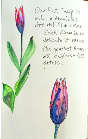 2015 03 29_0277_edited-2