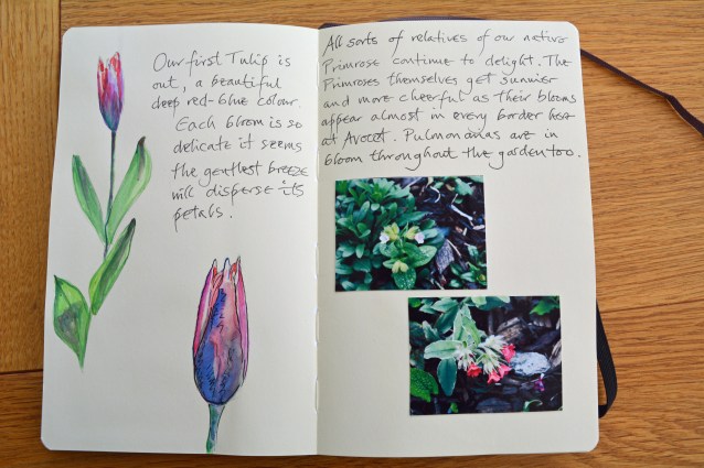 2015 03 29_0280_edited-1