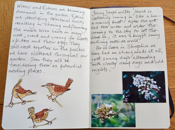 2015 03 29_0281_edited-1