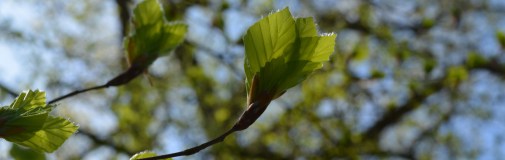 2015 04 24_0981_edited-1