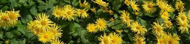 2015 04 24_0985_edited-1