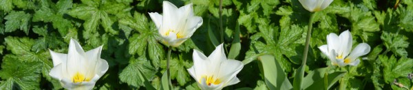 2015 04 24_1009_edited-1