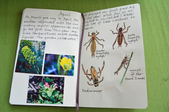 2015 05 07_1425_edited-1