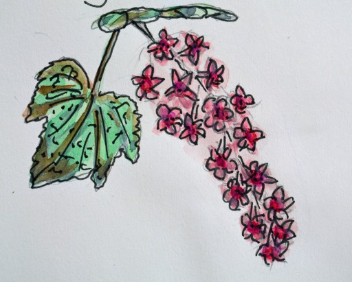 2015 05 07_1429_edited-1