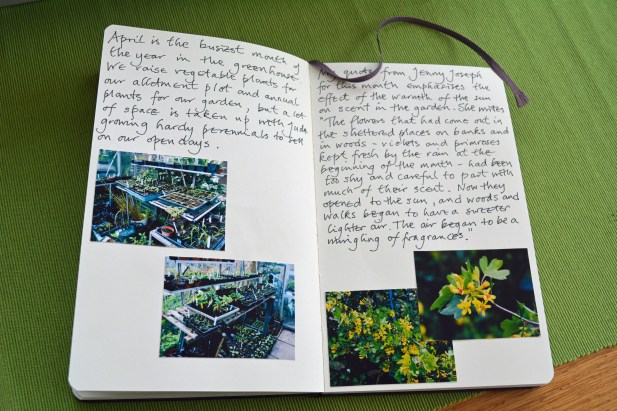 2015 05 07_1431_edited-1