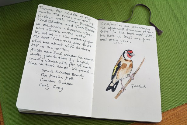 2015 05 07_1432_edited-1