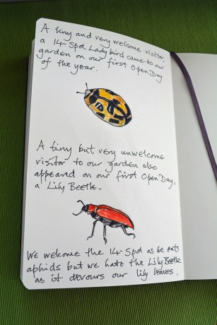 2015 05 07_1435_edited-1