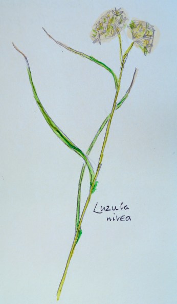 2015 06 10_2772_edited-1