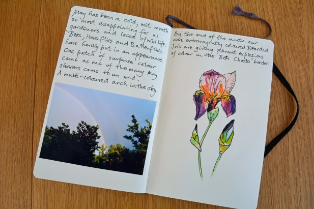 2015 06 10_2773_edited-1