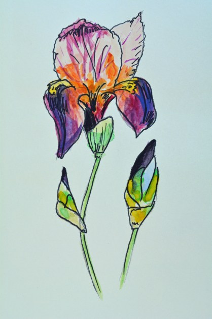 2015 06 10_2774_edited-1