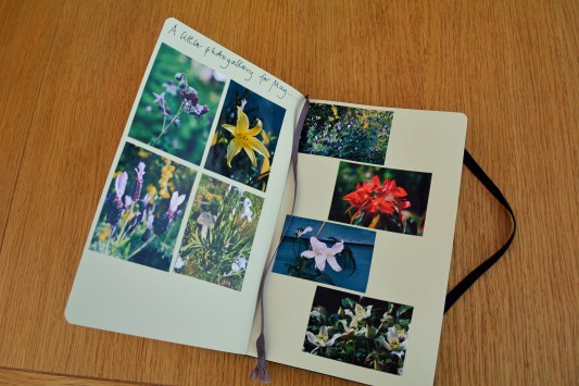 2015 06 10_2775_edited-1