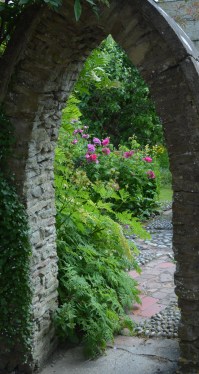 2015 06 25_3278_edited-1-1