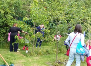 2015 06 28_3353_edited-1