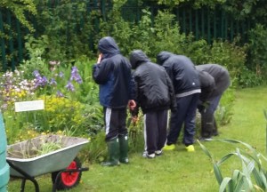 2015 06 28_3397_edited-1