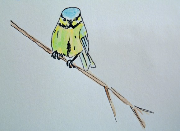 2015 07 04_3618_edited-1