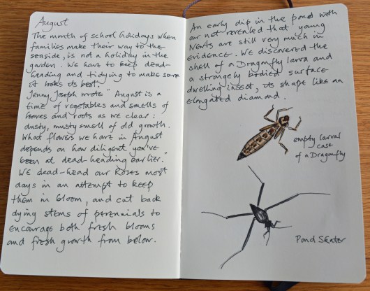 2015 09 03_5007_edited-1