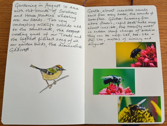 2015 09 03_5009_edited-1