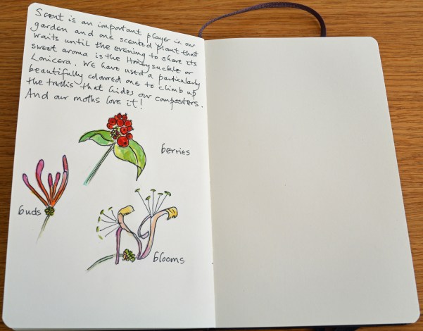 2015 09 03_5012_edited-1