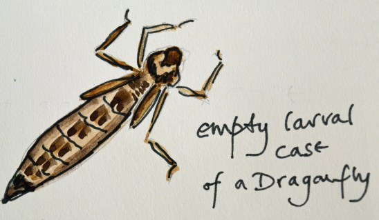 2015 09 03_5014_edited-1