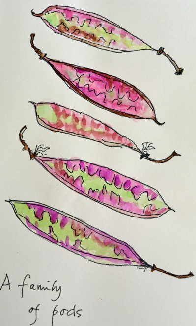 2015 09 03_5016_edited-1