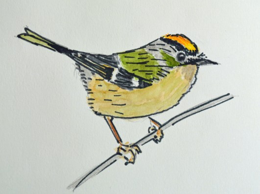 2015 09 03_5018_edited-1