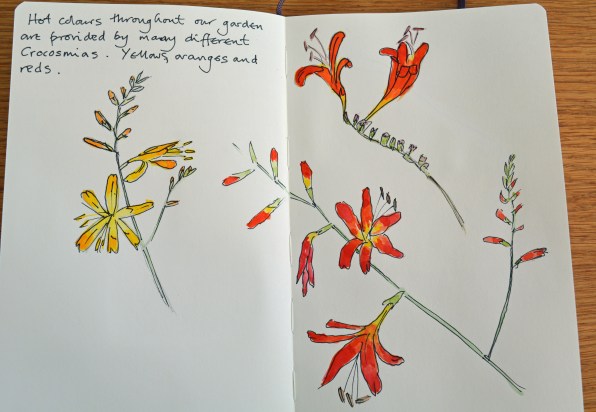 2015 09 03_5019_edited-1