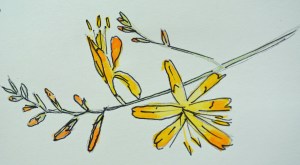 2015 09 03_5020_edited-1