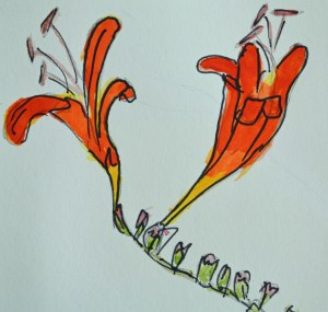 2015 09 03_5021_edited-1