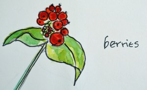 2015 09 03_5022_edited-1