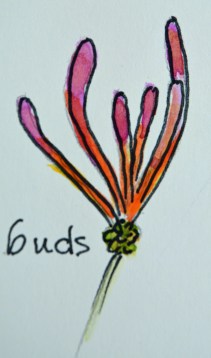 2015 09 03_5024_edited-1