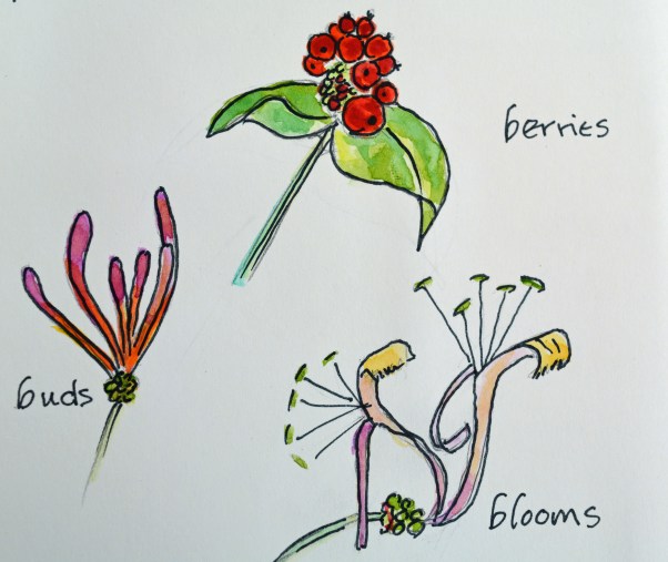 2015 09 03_5025_edited-1