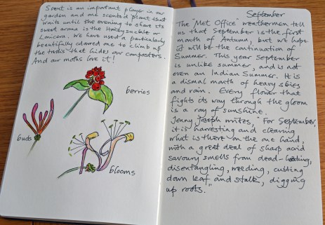 2015 10 22_6619_edited-1