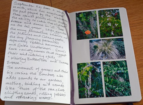 2015 10 22_6620_edited-1