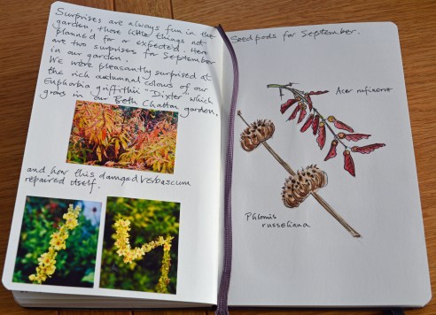 2015 10 22_6621_edited-1