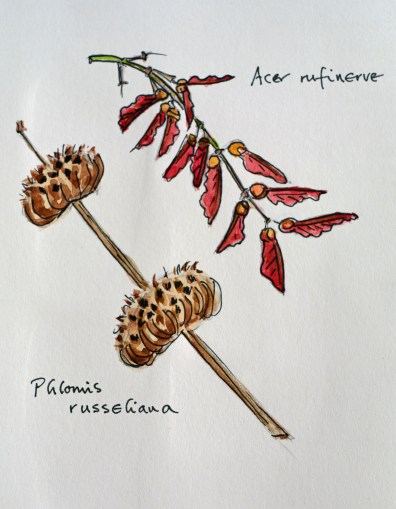 2015 10 22_6623_edited-1