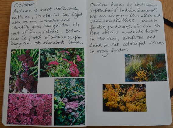 2015 11 01_6961_edited-1