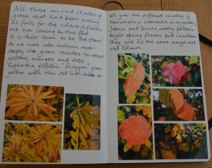 2015 11 01_6962_edited-1