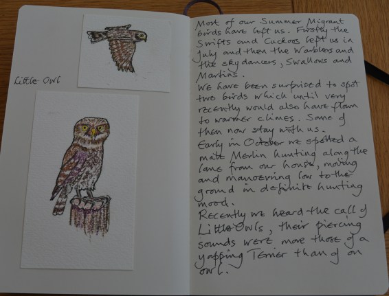 2015 11 01_6963_edited-1