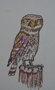 2015 11 01_6965_edited-1