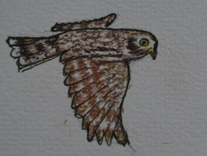 2015 11 01_6966_edited-1