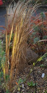 2015 12 01_7352_edited-1