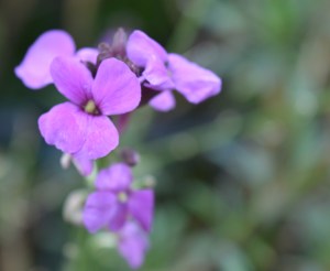 2015 12 01_7361_edited-1