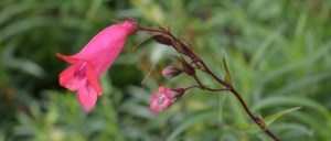 2015 12 06_7469_edited-1