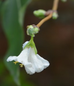 2015 12 06_7491_edited-1