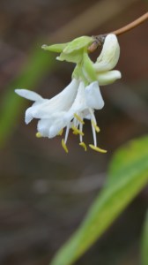 2015 12 06_7493_edited-1