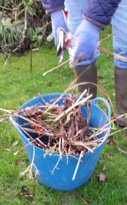 2015 12 16_7546_edited-1