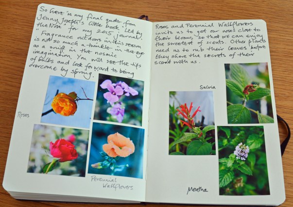 2015 12 28_7598_edited-1