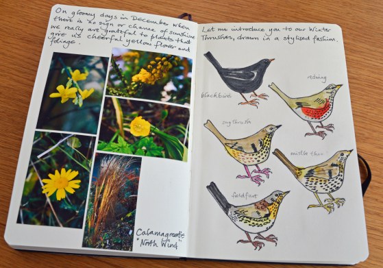 2015 12 28_7599_edited-1