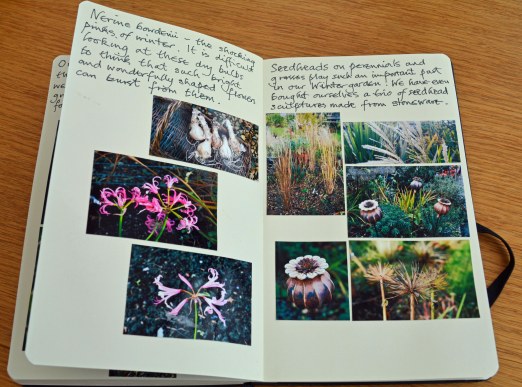 2015 12 28_7606_edited-1