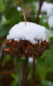 2016 01 17_7801_edited-1